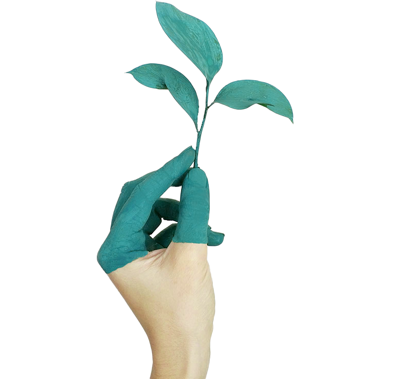 Transizione 5.0 Futura ingegneria architettura pescara avezzano